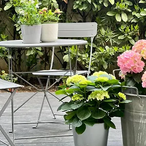  Couette-café Loft G Hospitality Italie